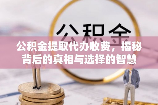蓬安公积金提取代办收费，揭秘背后的真相与选择的智慧