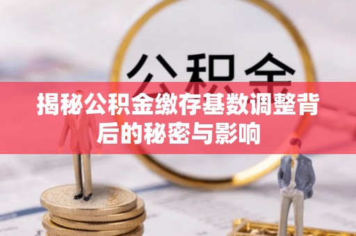 蓬安揭秘公积金缴存基数调整背后的秘密与影响