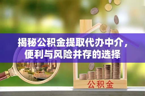蓬安揭秘公积金提取代办中介，便利与风险并存的选择