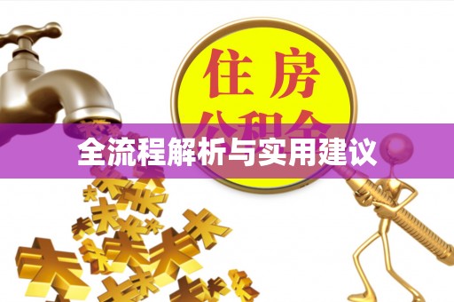 蓬安全流程解析与实用建议