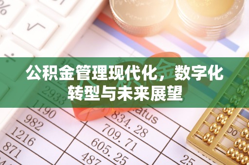 蓬安公积金管理现代化，数字化转型与未来展望