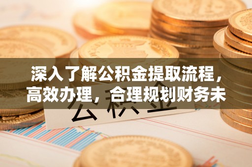 蓬安深入了解公积金提取流程，高效办理，合理规划财务未来