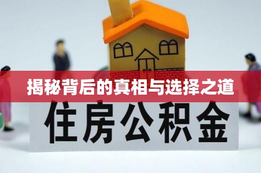 蓬安揭秘背后的真相与选择之道