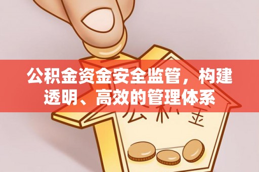 蓬安公积金资金安全监管，构建透明、高效的管理体系