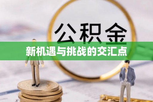 蓬安新机遇与挑战的交汇点