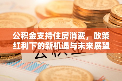 蓬安公积金支持住房消费，政策红利下的新机遇与未来展望