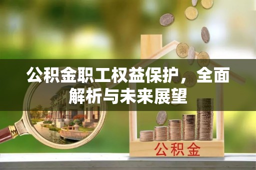 蓬安公积金职工权益保护，全面解析与未来展望