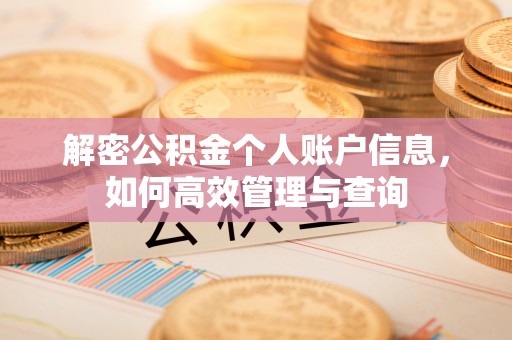 蓬安解密公积金个人账户信息，如何高效管理与查询