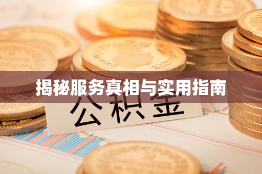 蓬安揭秘服务真相与实用指南