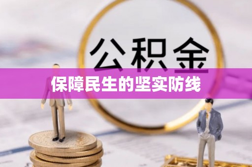 蓬安保障民生的坚实防线