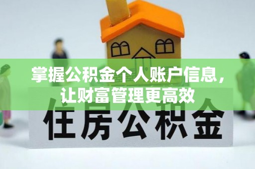 蓬安掌握公积金个人账户信息，让财富管理更高效