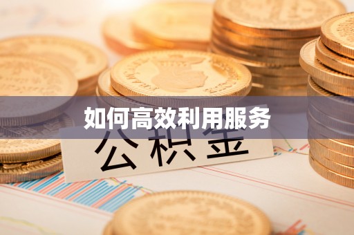 蓬安如何高效利用服务