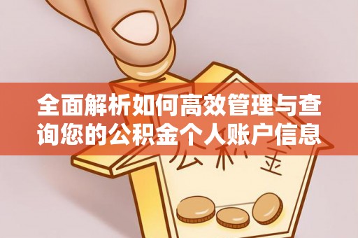 蓬安全面解析如何高效管理与查询您的公积金个人账户信息