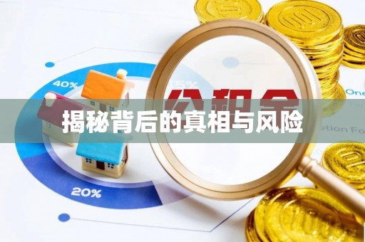 蓬安揭秘背后的真相与风险