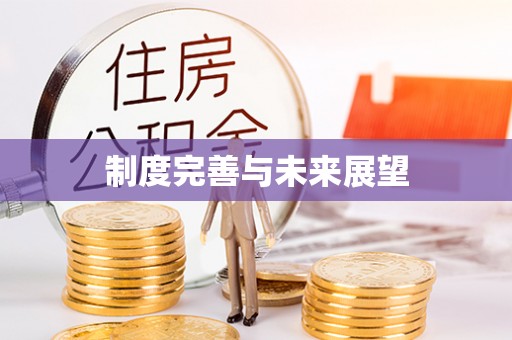 蓬安制度完善与未来展望