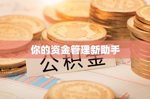 蓬安你的资金管理新助手