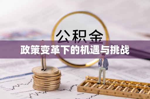 蓬安政策变革下的机遇与挑战