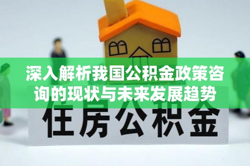蓬安深入解析我国公积金政策咨询的现状与未来发展趋势