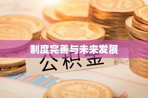 蓬安制度完善与未来发展