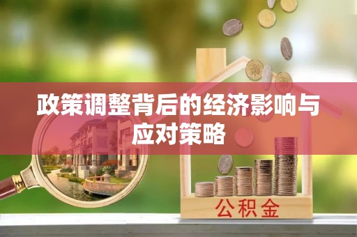 蓬安政策调整背后的经济影响与应对策略