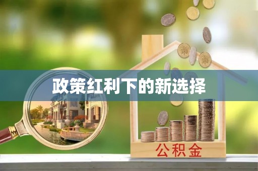 蓬安政策红利下的新选择