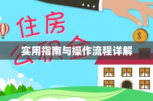 蓬安实用指南与操作流程详解