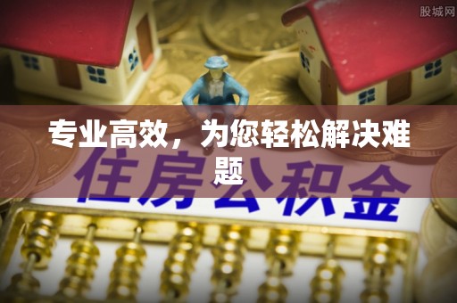 蓬安专业高效，为您轻松解决难题