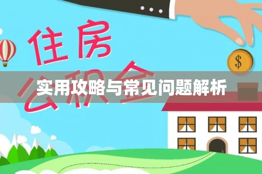 蓬安实用攻略与常见问题解析