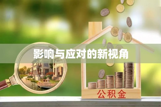 蓬安影响与应对的新视角