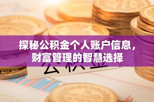 蓬安探秘公积金个人账户信息，财富管理的智慧选择