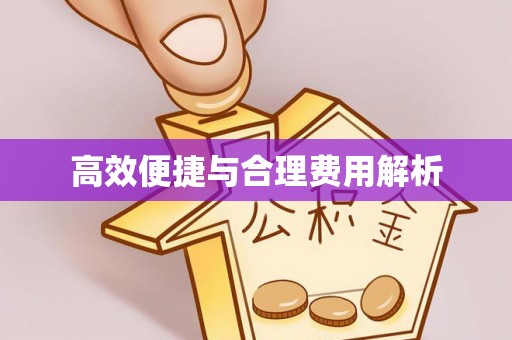 蓬安高效便捷与合理费用解析