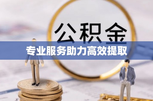 蓬安专业服务助力高效提取