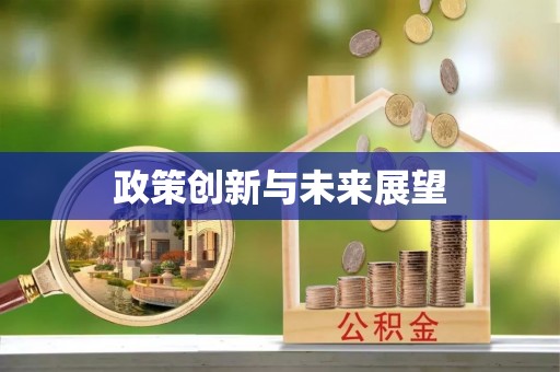 蓬安政策创新与未来展望