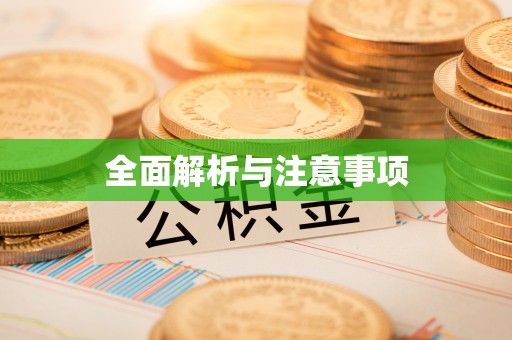 蓬安全面解析与注意事项